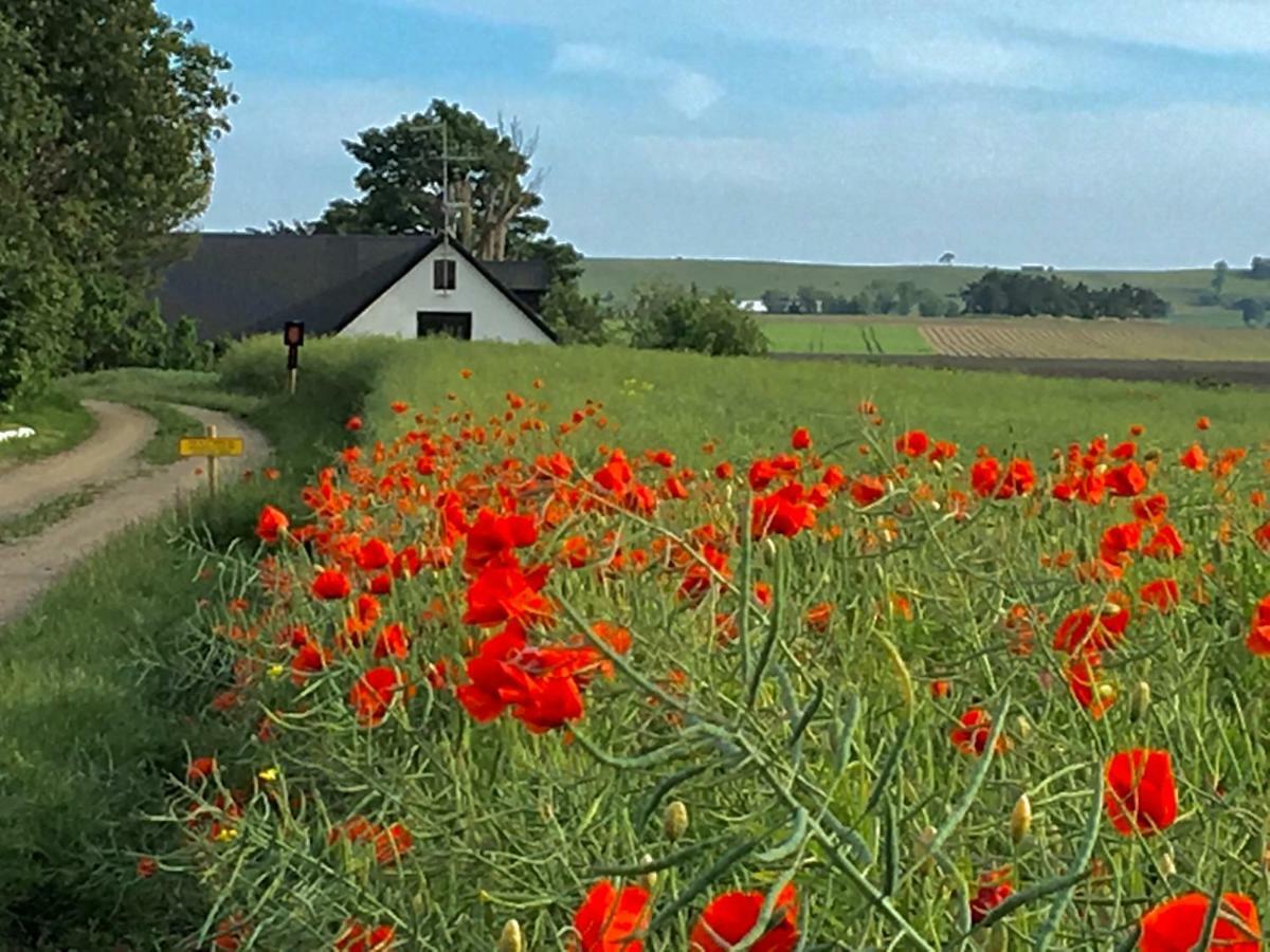 Wingardhs B&B Oesterlen Löderup Eksteriør billede